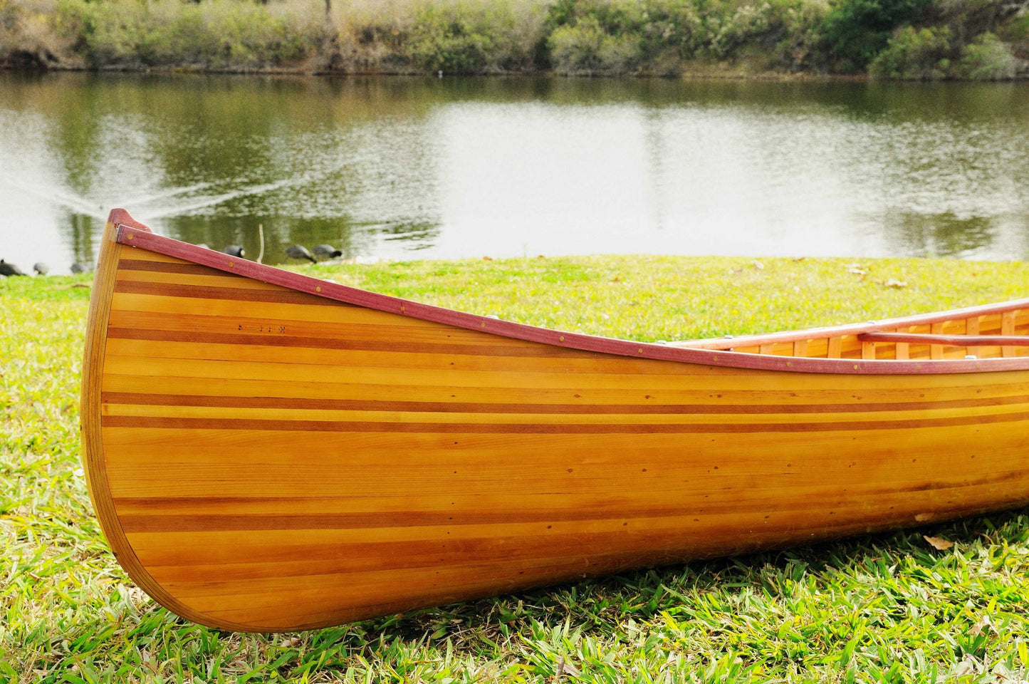 28.5" X 144" X 21" Wooden Canoe With Ribs Curved Bow-3
